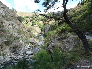 Torrente Vacco